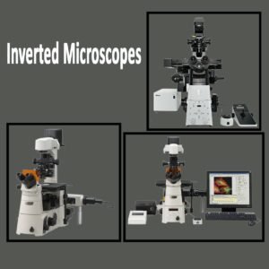 INVERTED MICROSCOPES