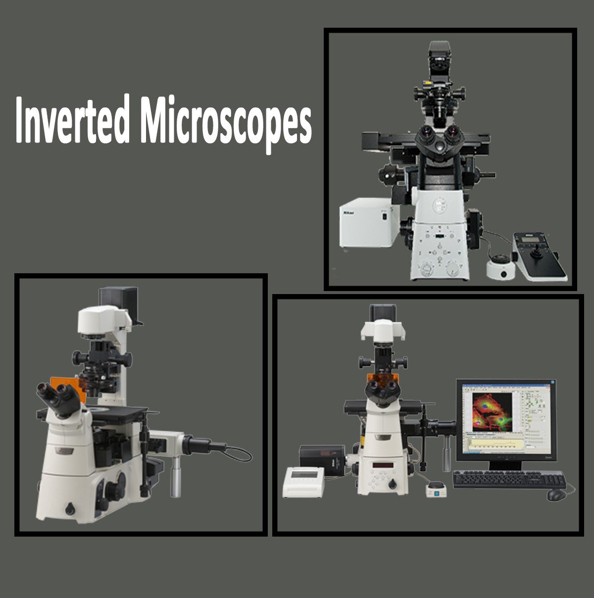 Inverted Microscopes - Globex Marketing Company Ltd.